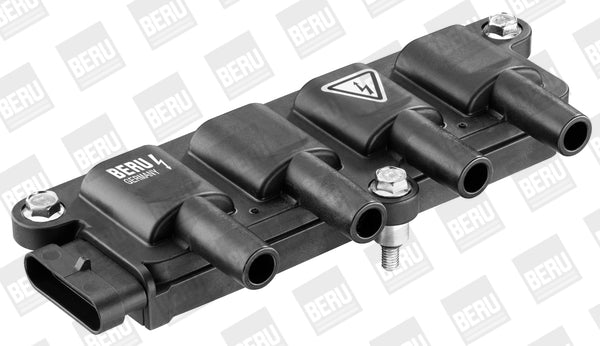 BorgWarner (BERU) - BERZS079 - Zündspule // U6055 - //