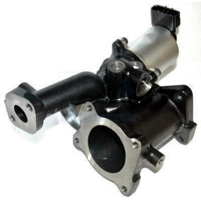 MAGNETI MARELLI - EV132 - AGR-Ventil - AGR-VENTIL