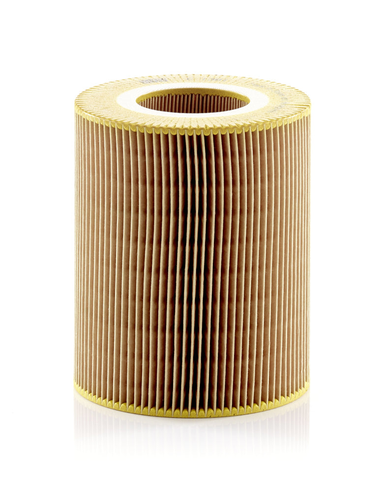MANN-FILTER - C1381 - Luftfilter //